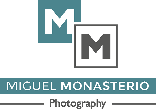 miguelmonasterio.com